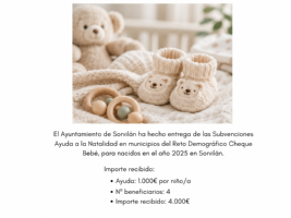 Subvenciones y Ayudas a la natalidad en municipios Reto Demográfico (Cheque Bebé) 2026.